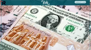 سعر الدولار أمام الجنيه المصري في نهاية تعاملات اليوم